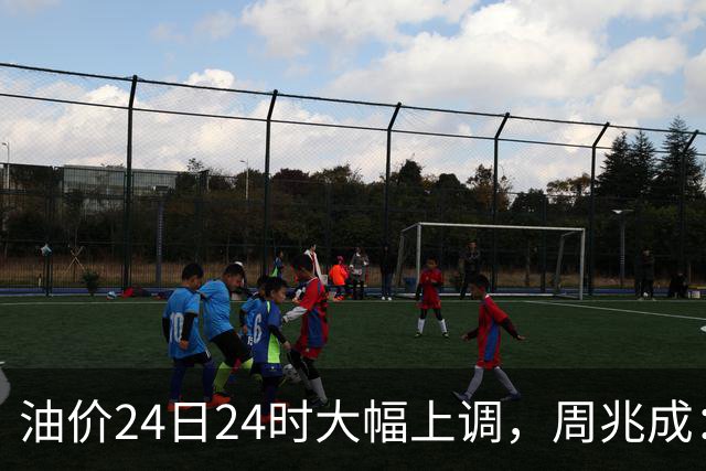 油价24日24时大幅上调，周兆成：涨价窗口期，这些加油站违法坑人行为要警惕